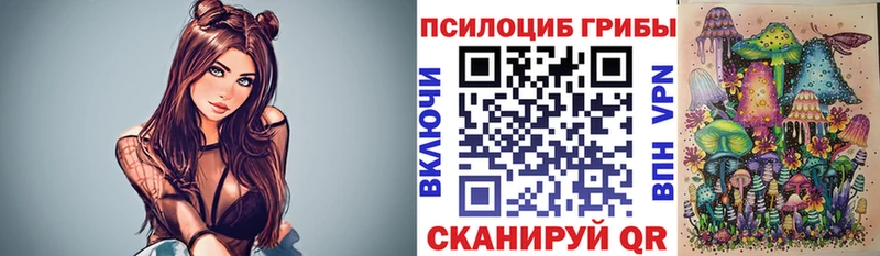 Галлюциногенные грибы Psilocybe  Алексеевка 